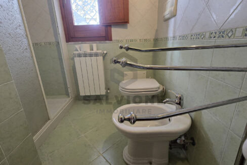 IMG-20250227-WA0019