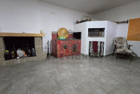 IMG-20250227-WA0031