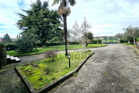 Immagine WhatsApp 2025-03-12 ore 10.51.10_95644e70
