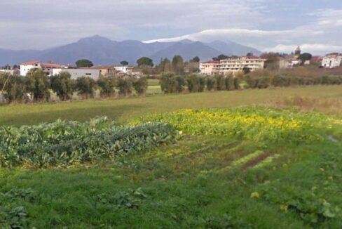 terreno 1
