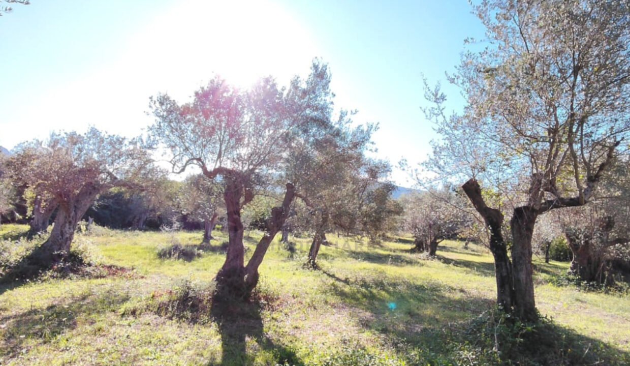 4d52d287-9a06-4490-86e8-1d204fdff06c